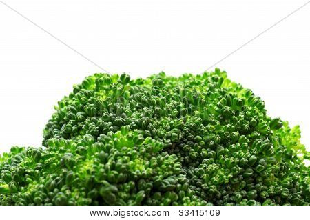 Fresh broccoli in closeup