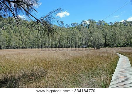 The Open Salt Marsh With A Woden Path In The Middle On The Benowie Walking Track In Ku-ring-gai Nati