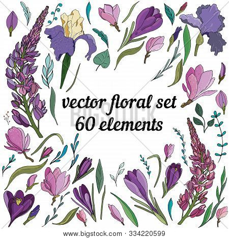 Large Vector Floral Elements Set Of Purple And Lilac Crocuses, Irises, Lupins