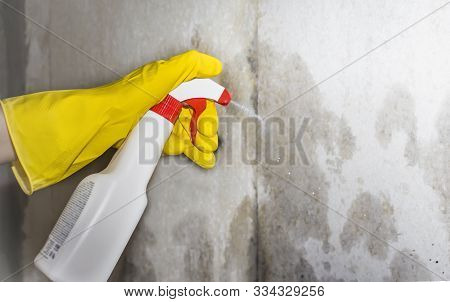 Pest Control, A Person Sprays A Remedy For Mold And Other Pests On The Walls Of The House.