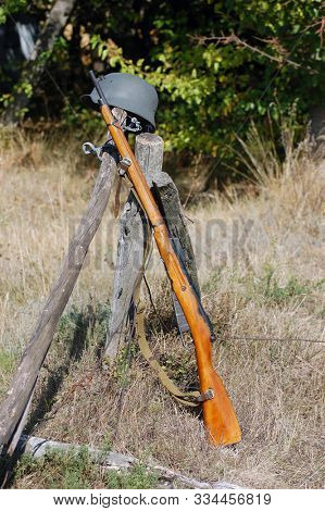 Various rifle weapons of the Second World War 