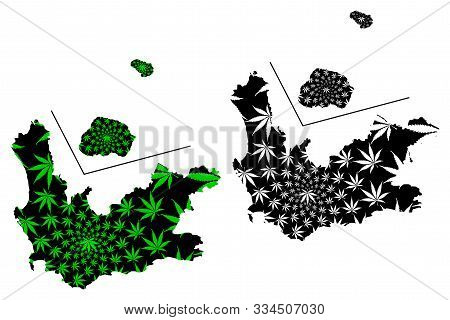 Western Cape Province (republic Of South Africa, Rsa) Map Is Designed Cannabis Leaf Green And Black,