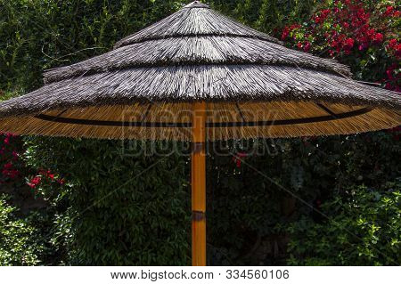 Opened Tike Straw Umbrella With A Greenery Background Of Plants