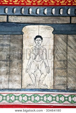 사원 왓 포에 그림 가르치는 침술과 극동 의학
