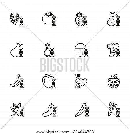 Genetically Modified Food Line Icon Set. Gene, Vegetable, Fruit. Food Concept. Can Be Used For Topic
