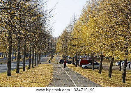 Hameenlinna, Finland 10/15/2018 A City Walk Way Bordered With Yellow And Partly Bare Linden Trees. A
