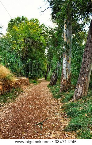 Green Landscape By The Tuejar River In Chelva, Valencia, Spain