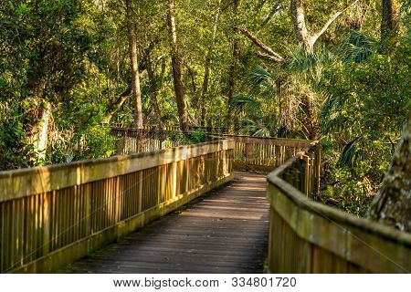 Much Of The Natural And Man-made Beauty You Will See As You Walk The Trails Of Sawgrass Lake Park.