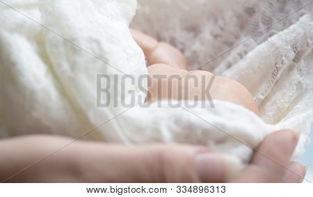 Premature Newborn Baby Wrapped In Lace With Mothers Hand Represented By A Reborn Doll, Background Fo