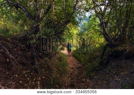 Highly Loaded With Different Staff Tourist Hiking On A Road Through Woods