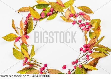 Wreath From Euonymus Europaeus Isolated On A White Background