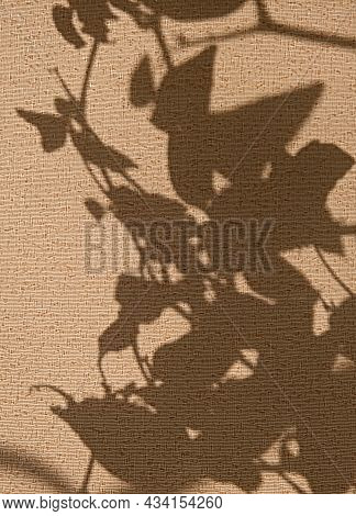 Light And Shadow Sunset On Old Retro Beige Fabric Texture.  Vintage Textile Background. Abstract Bac