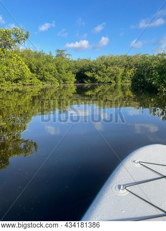 Paddleboard Looking At Mangroves And Blue Sky At Jn Ding Darling National Wildlife Refuge