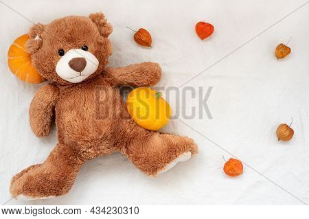Brown Soft Toy Teddy Bear With Pumpkin And Physalis Frame On White Sackcloth Fabric Texture, Flat La