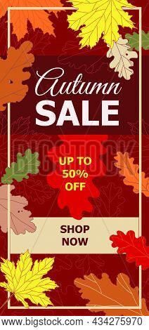 Vector Autumn Sale Banner 50 Percent Discount. Vertical Layout Template With Shop Now Label. Orange,