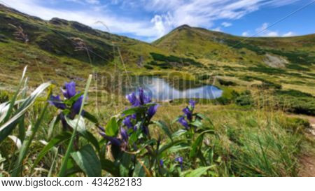 Blurred. The Lake Is Wild. Beautiful View Of The Mountains And The Lake. Lake Nesamovite