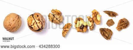 Walnuts Isolated On White Background. Walnut Kernels And Whole Walnuts