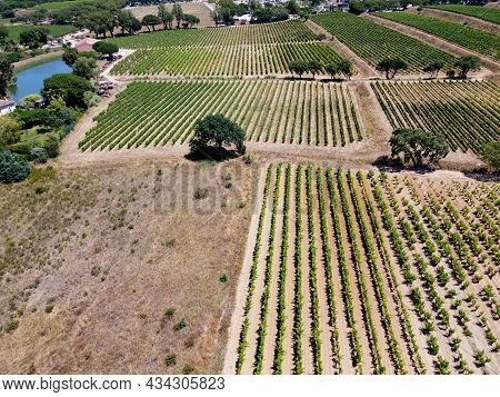 Winemaking In  Department Var In  Provence-alpes-cote D'azur Region Of Southeastern France, Aerial V