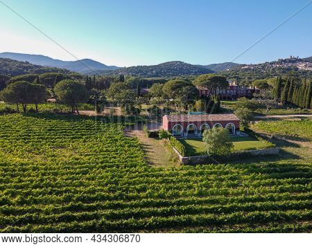 Wine Making In  Department Var In  Provence-alpes-cote D'azur Region Of Southeastern France, Vineyar