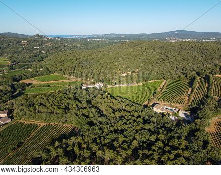 Wine Making In  Department Var In  Provence-alpes-cote D'azur Region Of Southeastern France, Vineyar