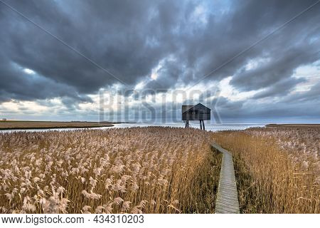 Wooden Walkway Through Salt Tidal Marsh Leading To Observatory Hide In Natura 2000 Area Dollard, Gro