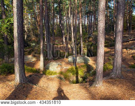 Mastale Rockies Or Toulovcovy Mastale Rock City Near Prosec Town, Sandstone Rockies In Czech Republi
