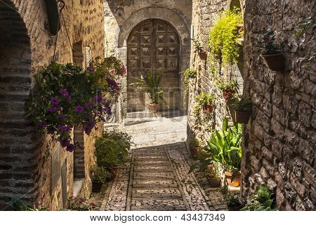 Spello (umbria)