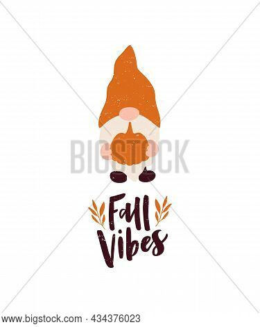 Vector Autumn Illustration With Lettrering Quote Fall Vibes, Harvest Cute Gnom, Pumpkin On White Bac
