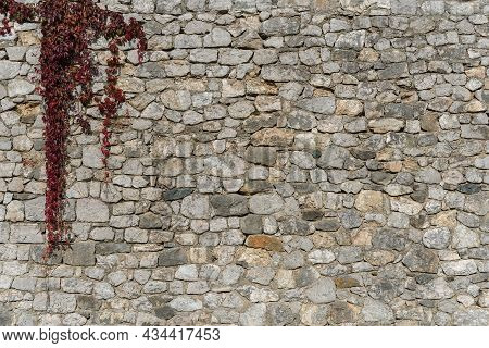 Castle Old Exterior Defense Wall With A Little Ivy