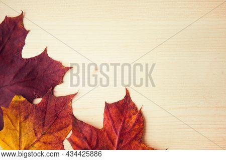 Multocolored Maple Leaves On Wooden Background, Close Up. Autumn Leaf Close Up With Copy Space.