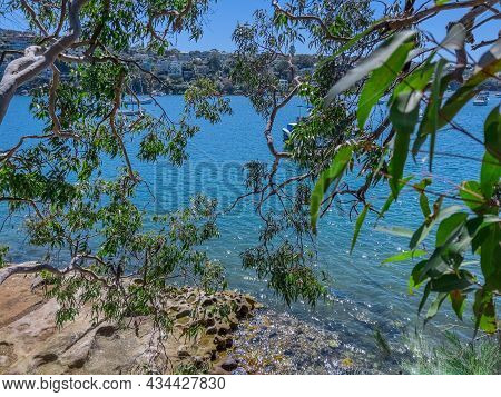 Beautiful Turquoise And Blue Waters Of Beauty Point  Mosman On A Spring Morning With Yachts And Hous