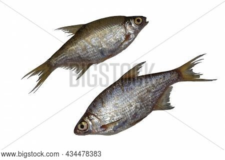 Bream Or Silver Bream Is A Fish Of The Cyprinidae Family, Type Species: Blicca Bjoerkna. Two Freshwa