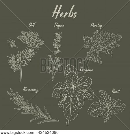 Herbs