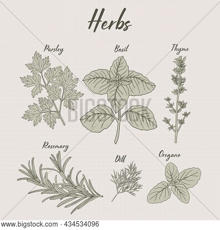 Herbs