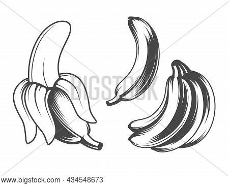 Banana Icons, Vector Illustrations, Tropical Fruit Drawings
