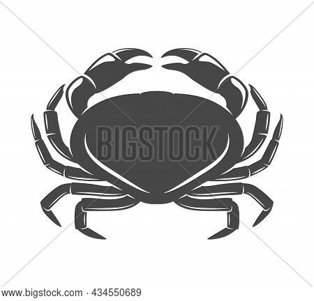 Crab, Sea, Marine Animal Icon, Vector Illustration