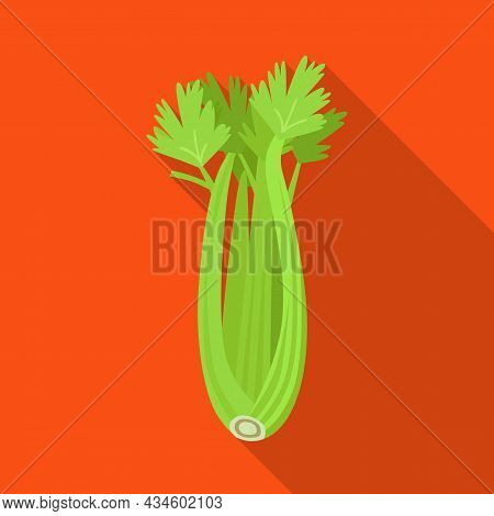 Vector Design Of Celery And Bunch Sign. Graphic Of Celery And Stick Stock Vector Illustration.
