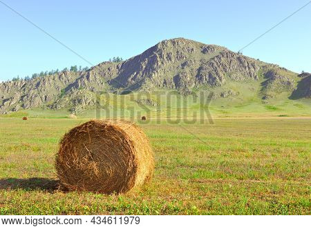 A Rural Field In Summer Under A Blue Sky In The Altai Mountains. Siberia, Russia