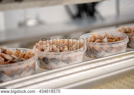 Pickled Herring Fillets In Plastic Cans On A Conveyor Belt. Canned Fish Making.