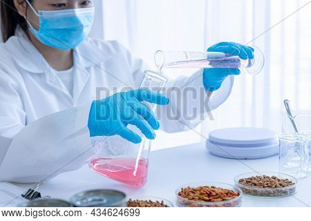 Quality Control Personnel Are Inspecting The Chemical Quality Pet Food. Quality Of Wet And Dry Pet F