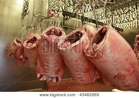 Lamb Carcasses Hanging In An Abattoir