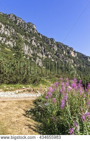 Landscape Of Malyovitsa River Valley, Rila Mountain, Bulgaria