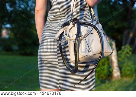 Wild Venomous Snake Crawled Unnoticed Into A Woman's Purse.