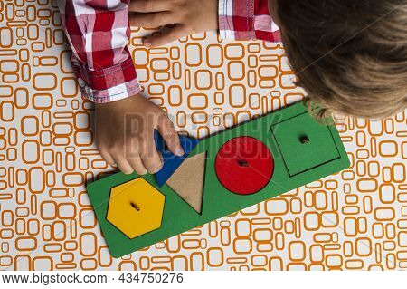 The Child Collects The Sorter Constructor. Puzzle Sorter, An Early Development Concept. Children's H