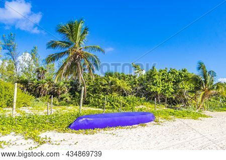 Tropical Mexican Beach With Palm Trees Playa Del Carmen Mexico.