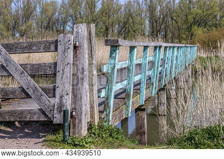 Wooden Bridge With A Gate And A Blue Fence Over A Stream, Wild Brown Grass, Oostvaardersplassen Natu