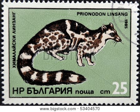 BULGARIA - CIRCA 1985: stamp printed in Bulgaria shows Prionodon linsang