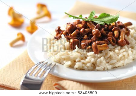 Risotto With Chanterelles