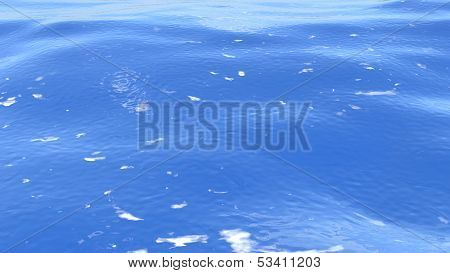 Sea background