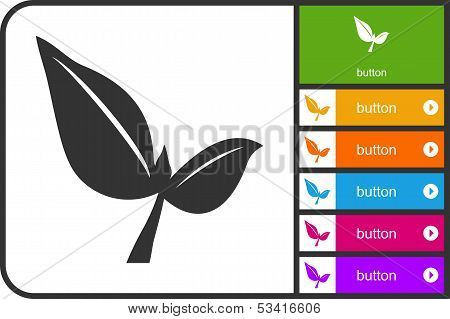 Sprout